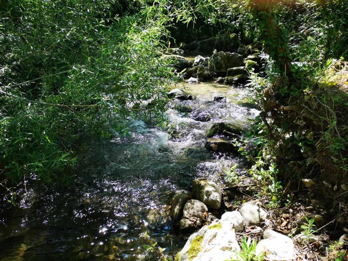 Molino Dei Ciliegi Splendida Villa In Umbria San Venanzo Exteriér fotografie